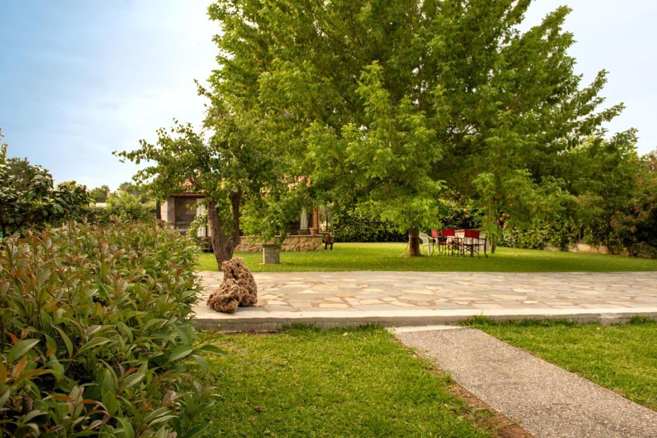 Άελλα Apartment Ierissos Exterior foto